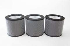 Triple Exhalaron Replacement Filters